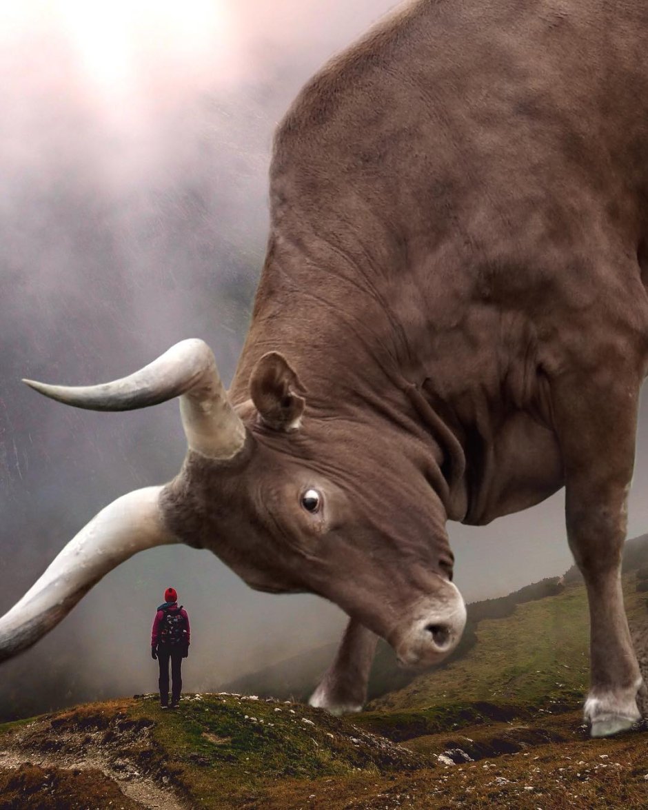 Эбен Маккриммон