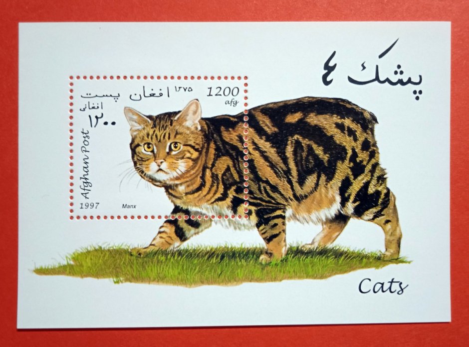 Год кота 1997