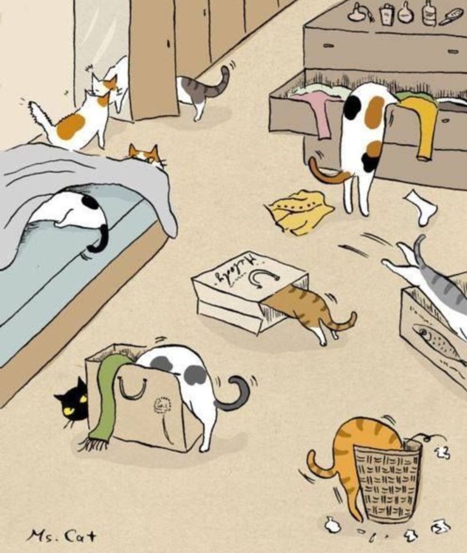 Сколько кошек на картинке