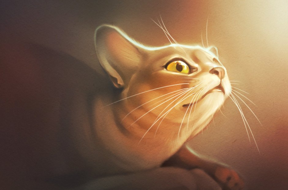 Котик рисунок