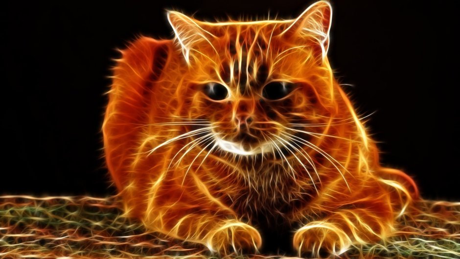 Огненный котенок