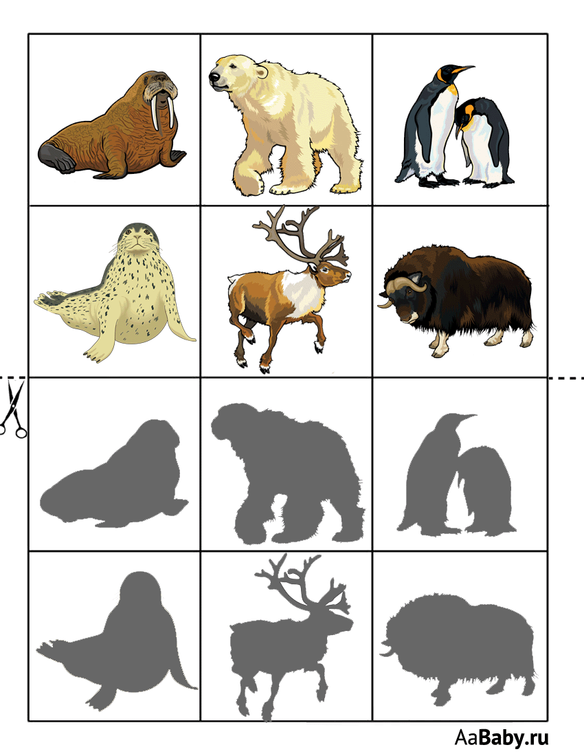 Игра теневое лото