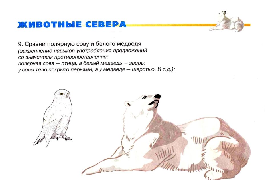 Задания для дошкольников животные Сеера