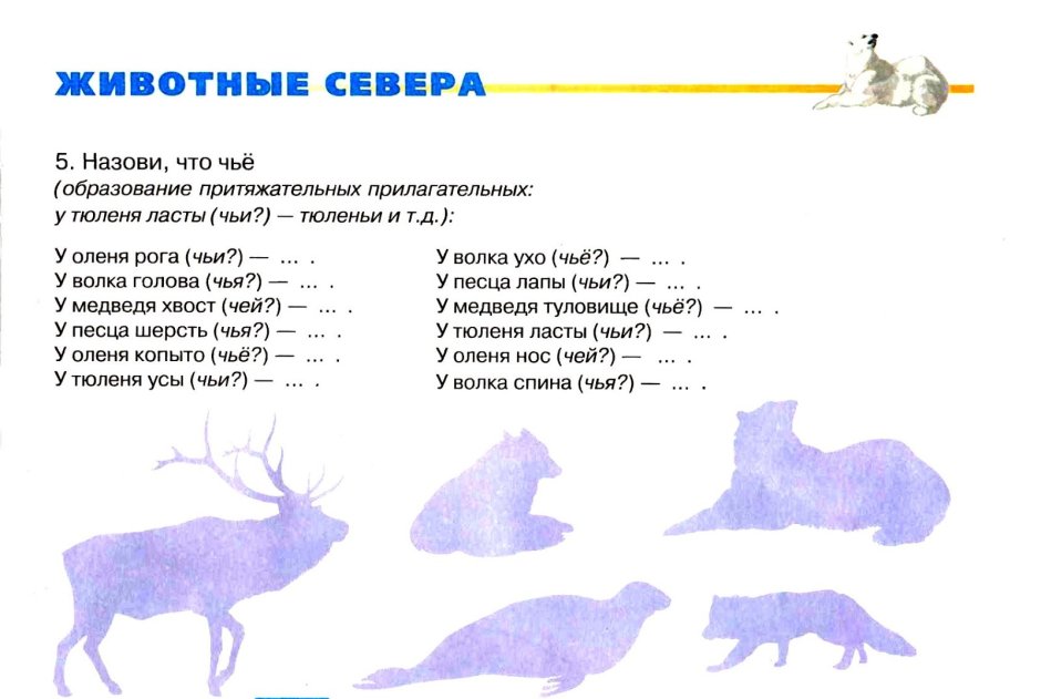 Животные севера задания для детей