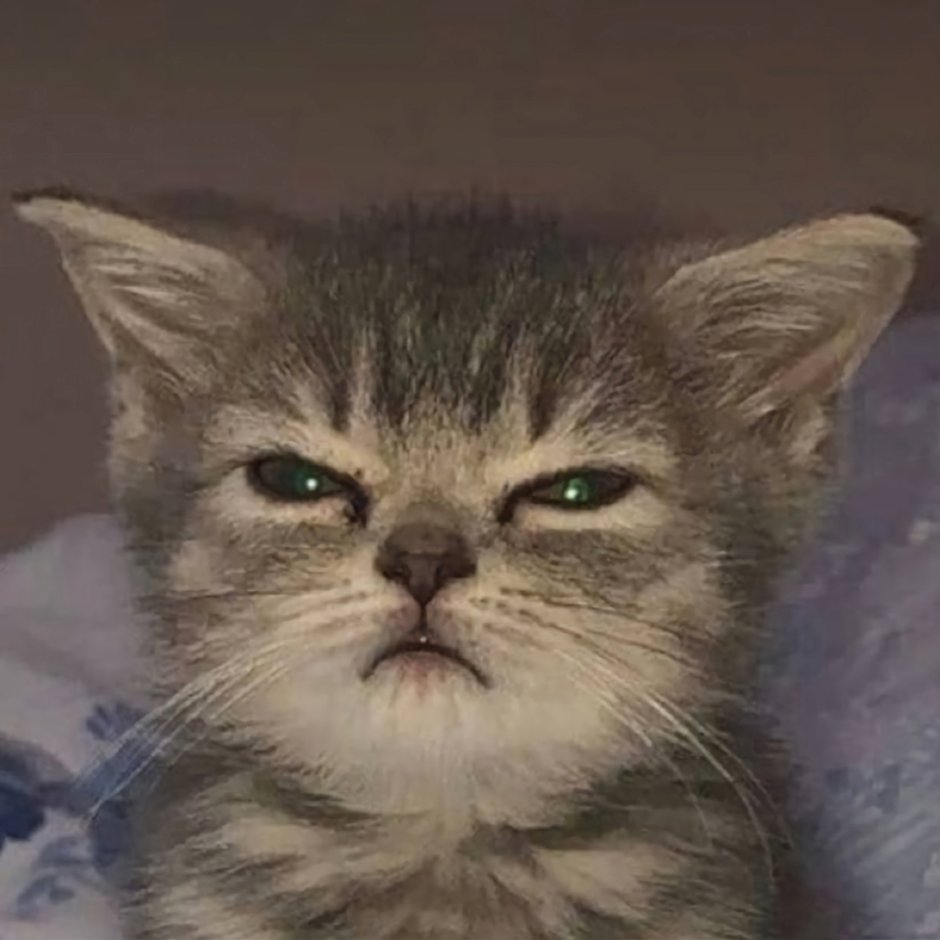 Прикольные пледы