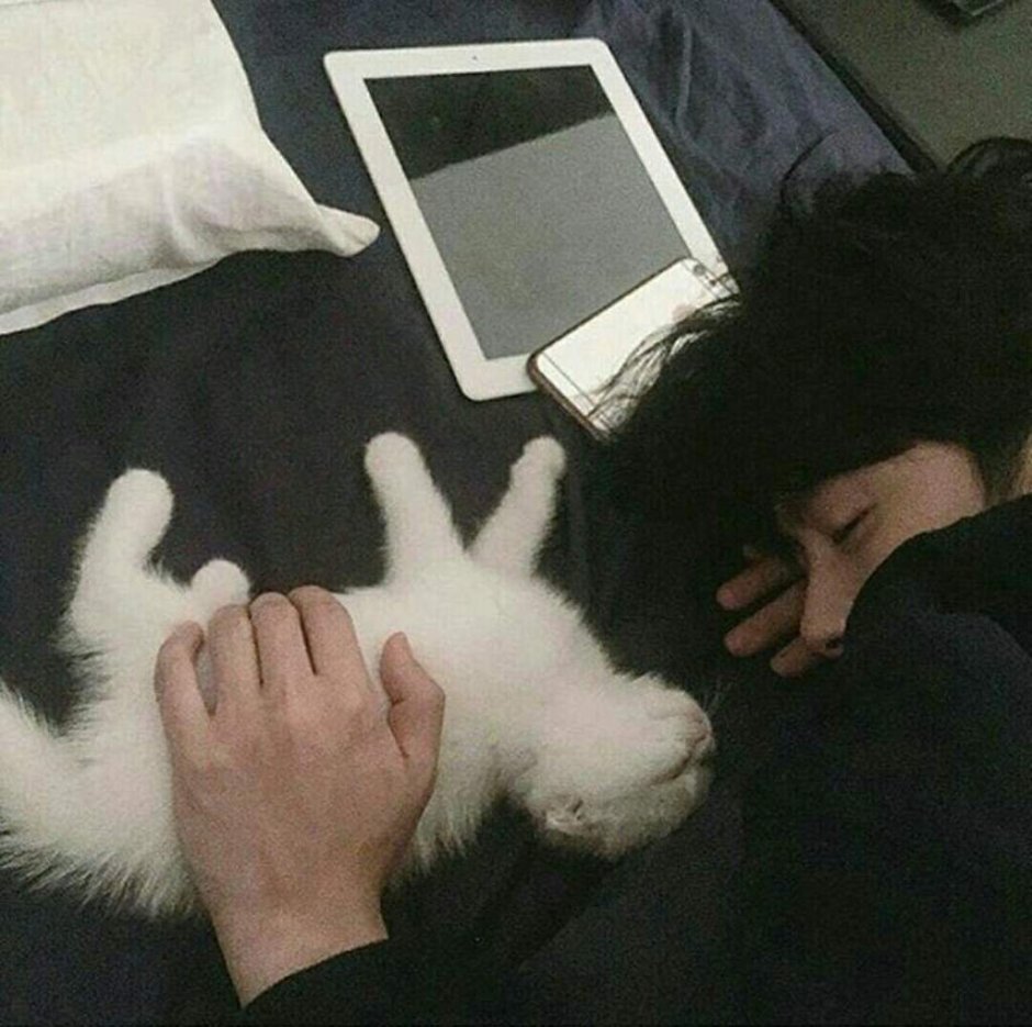 Кореец с котом Эстетика