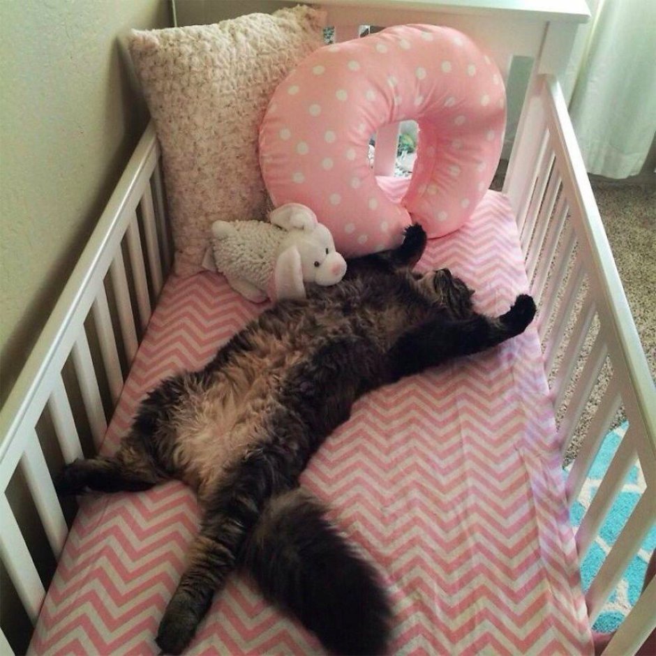 Кроватка для кошки