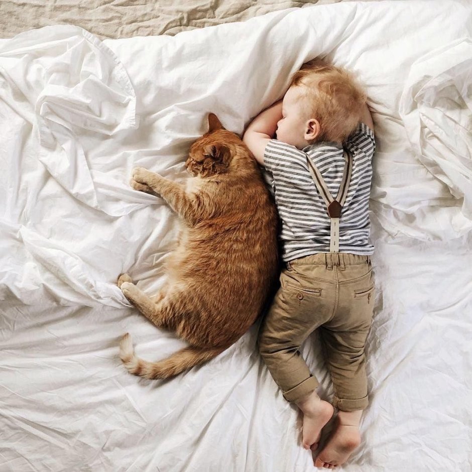 Кошка для детей