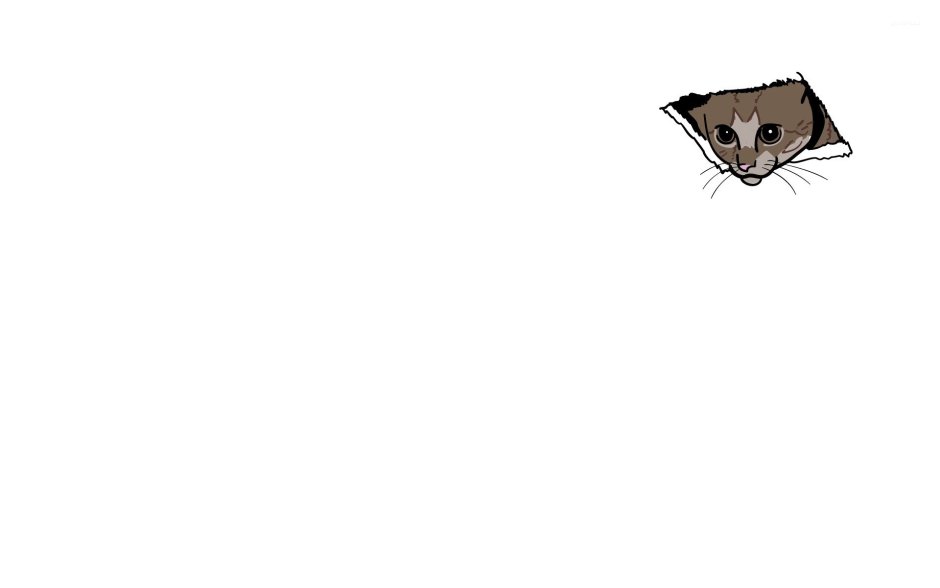 Кошка Минимализм рисунок