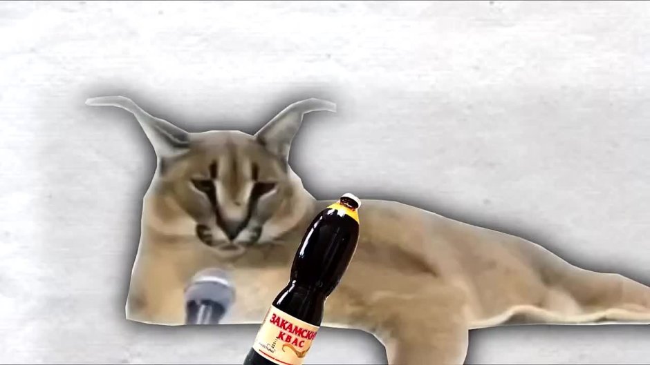 Шлепка русский кот