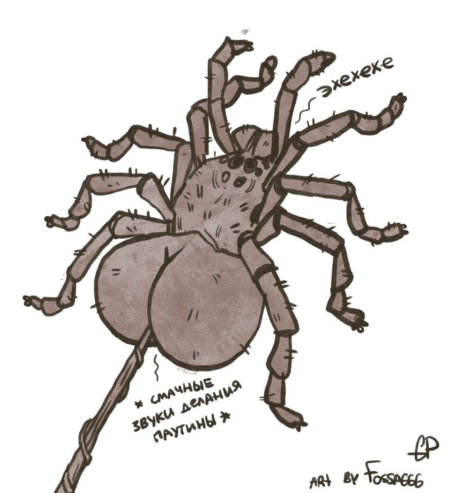 Попка паука