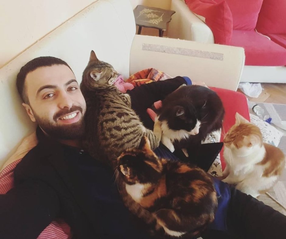 Парень с кучей котов