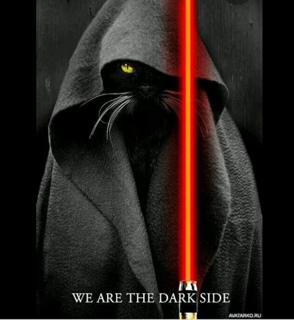 Кот ситх Star Wars