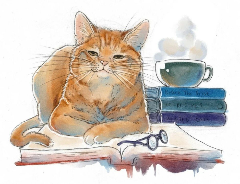 Котик с книжкой