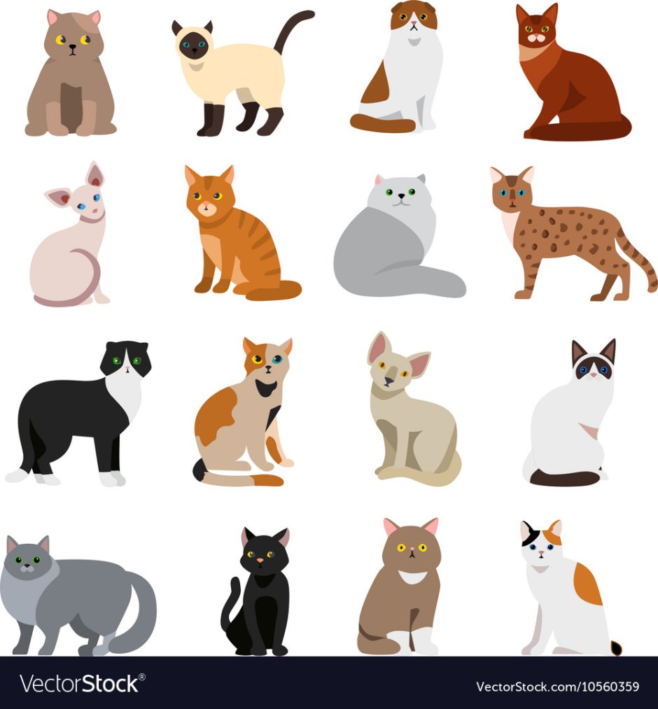 Кошки стилизованные породы