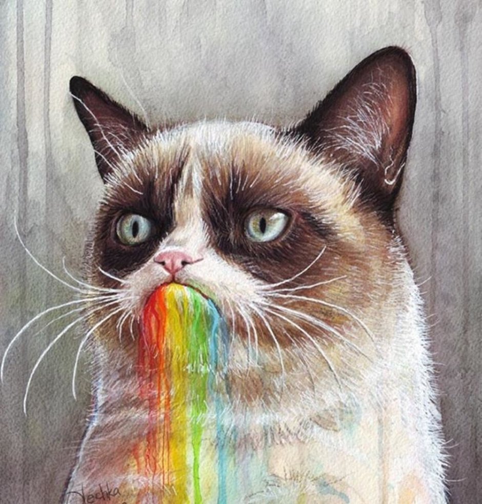 Серьезные котики милые