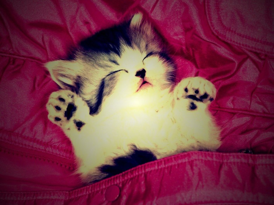 Красивые милые