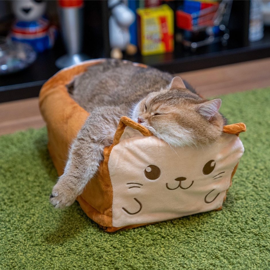 Торт Hocico Cat