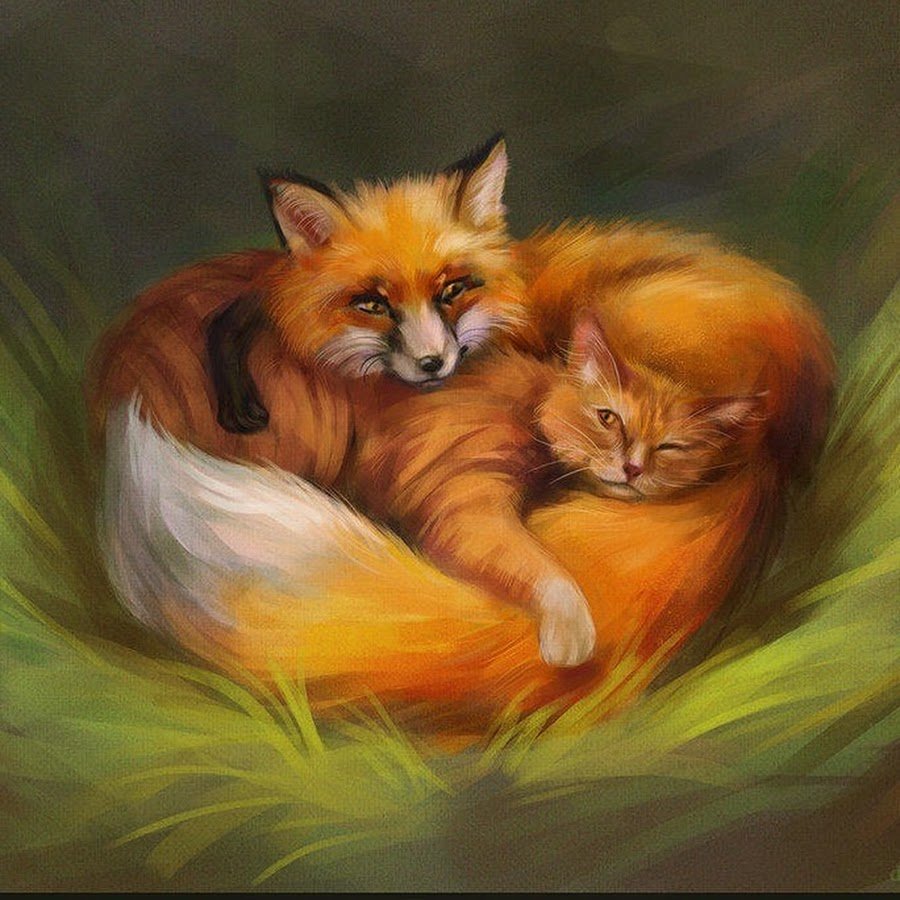 Лисенок и котенок