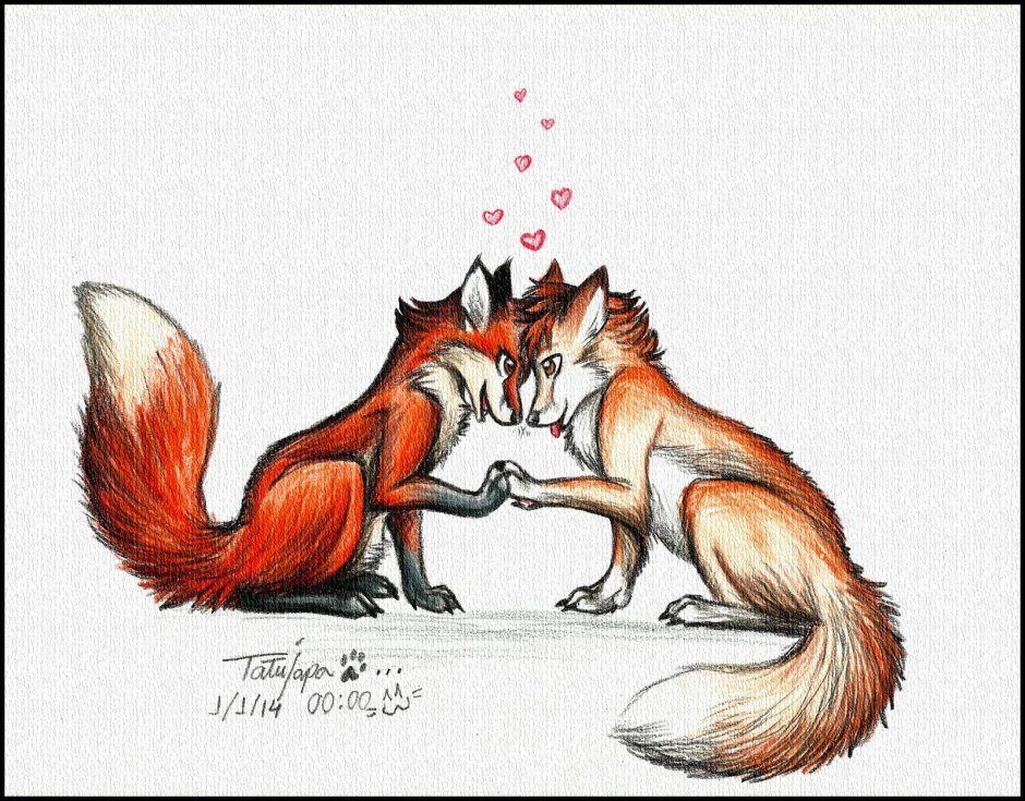 Лиса и кот любовь