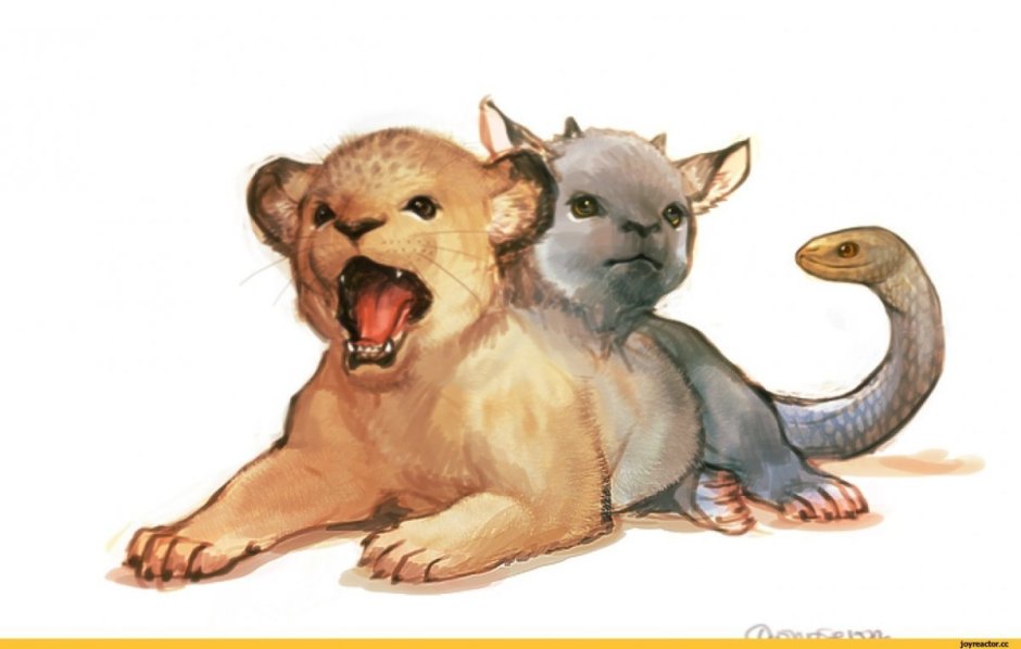 Смесь кота и лисы