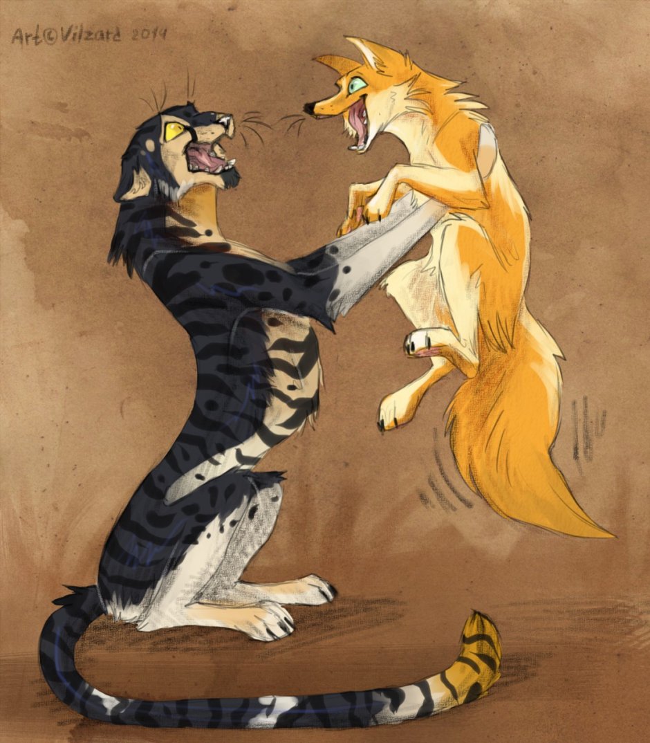 Тигры и лисы