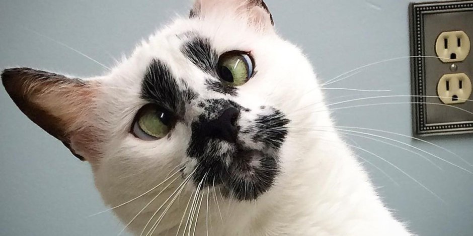 Косые глаза