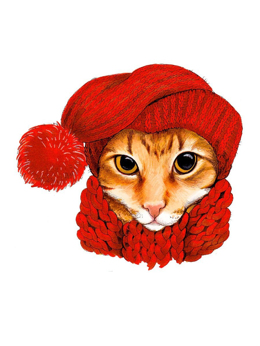 Рыжий кот в красной шапке