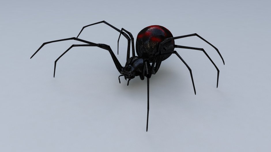 Black Widow паук