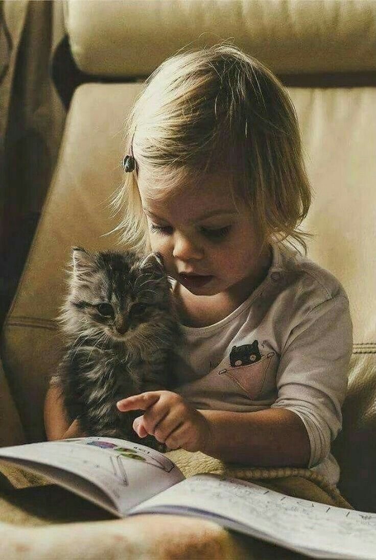 Коты и дети