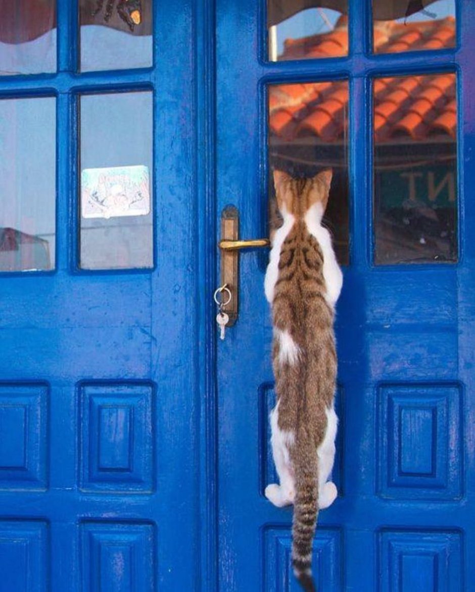 Заглядывает в окно