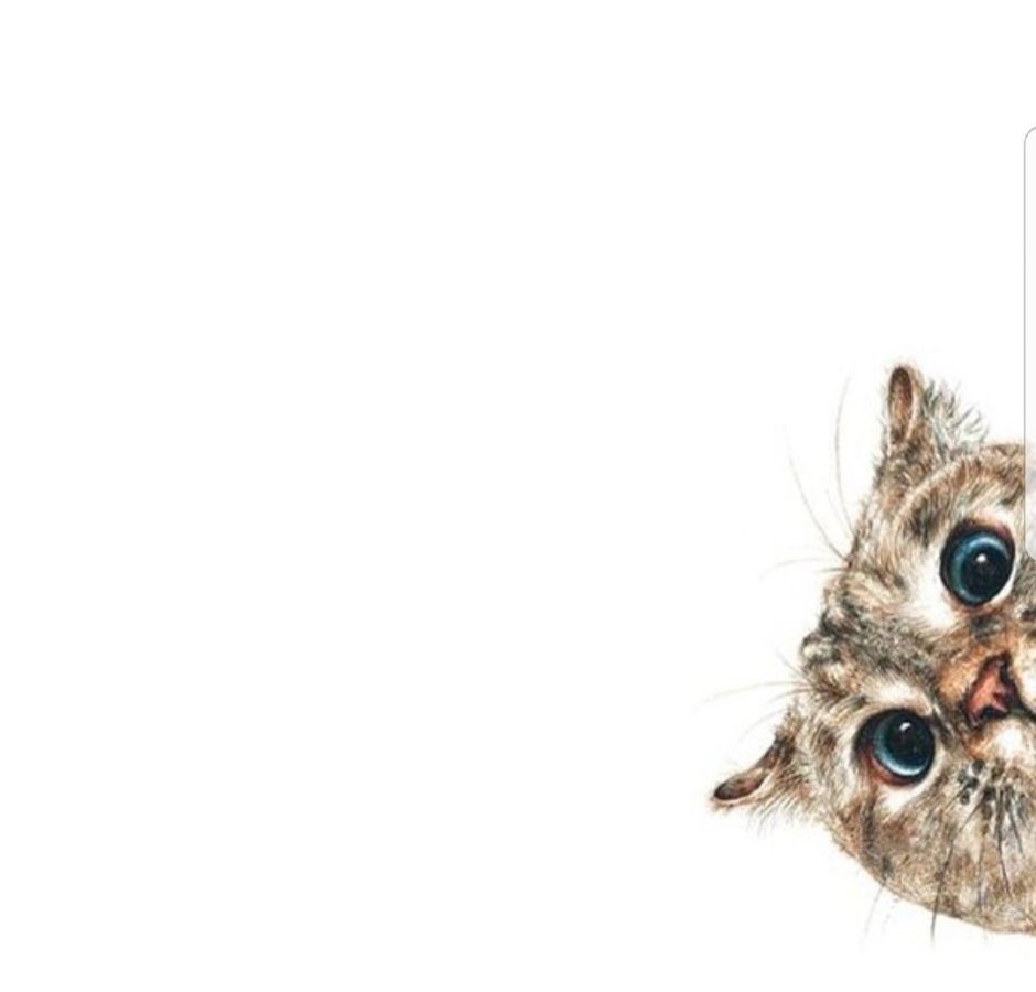 Кот выглядывает из-за угла