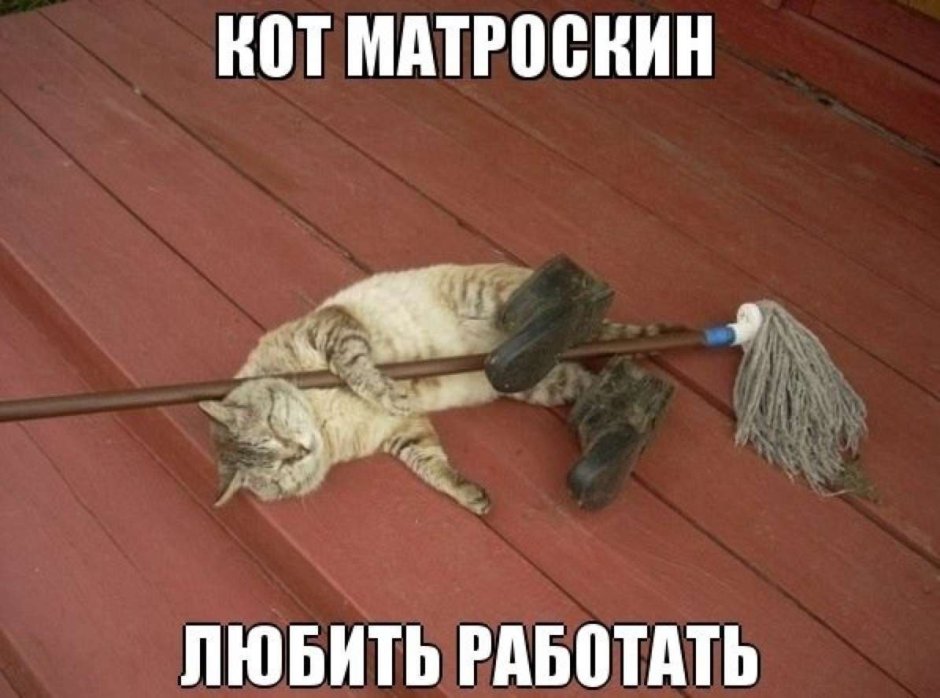 Кот с метлой