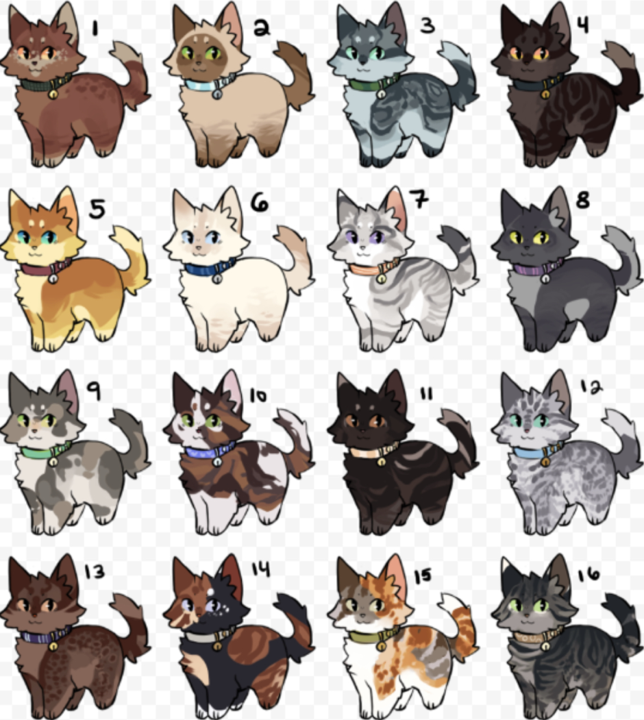 Коты Воители адопты