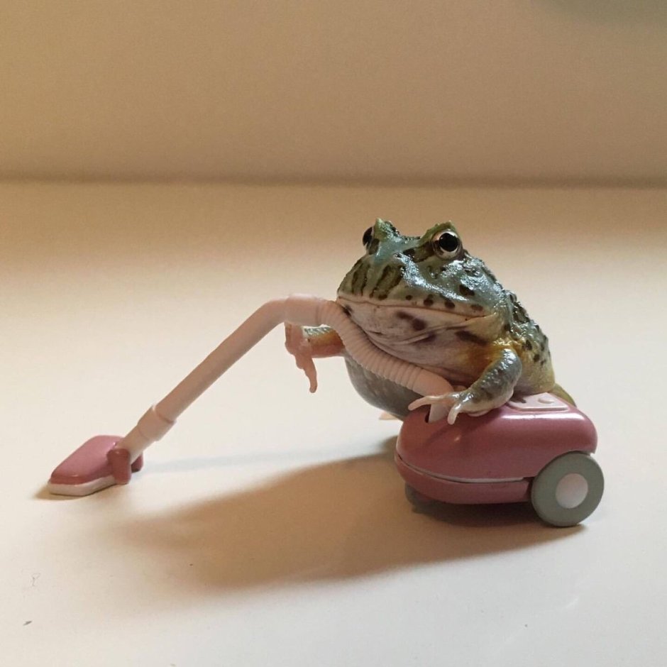Лягушка с пылесосом