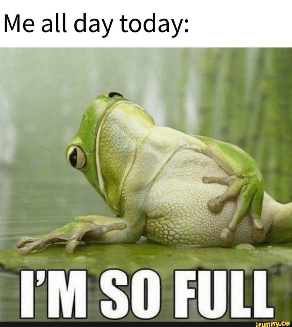 Лягушка лежит на спине