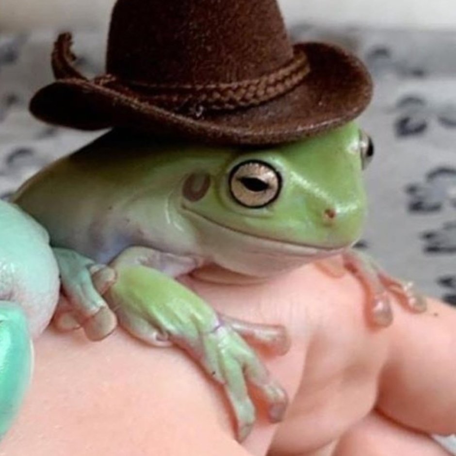 Ник лягушка