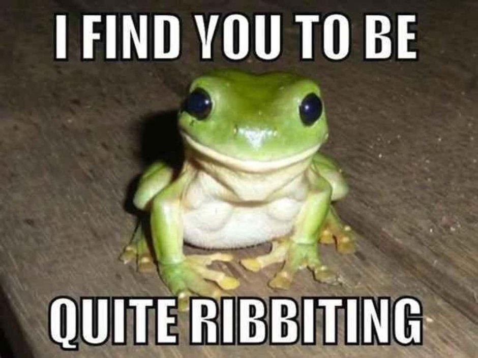 Лягушка улыбается