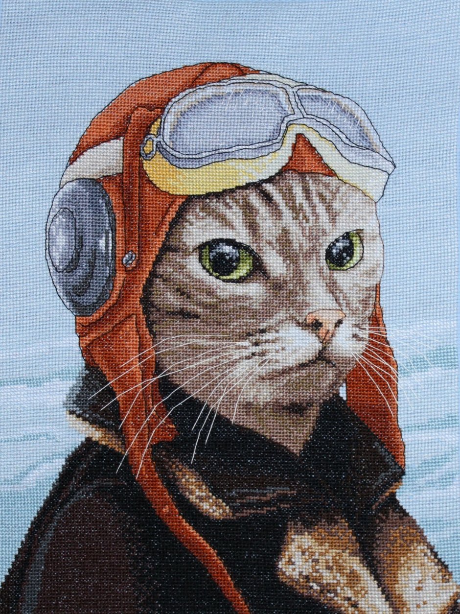 Кот летчик