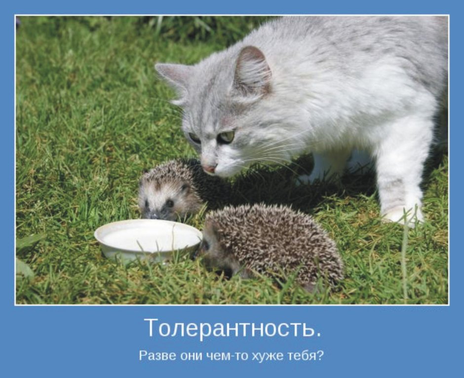 Хочется но колется