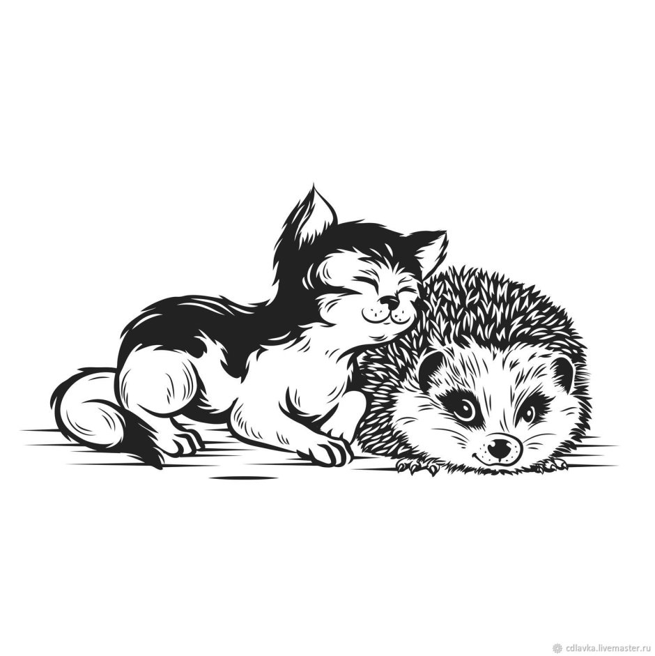 Кот обнимает ежика