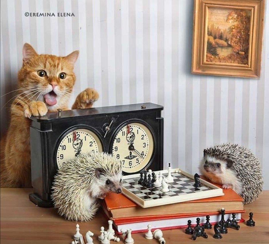 Кот и Ежик Елены Ереминой