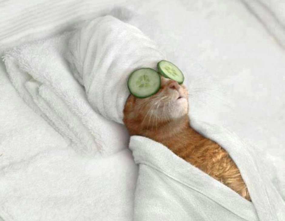 Уютное зимнее утро с котиком