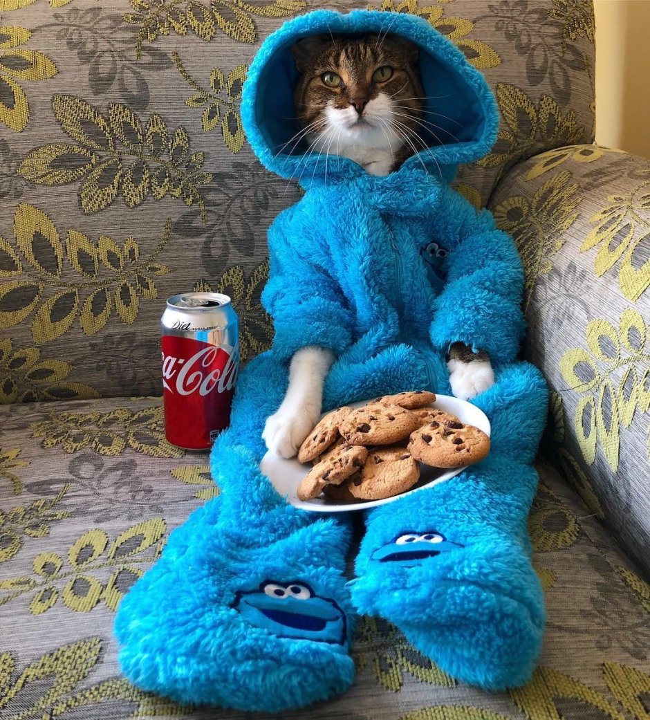 Котик в халате