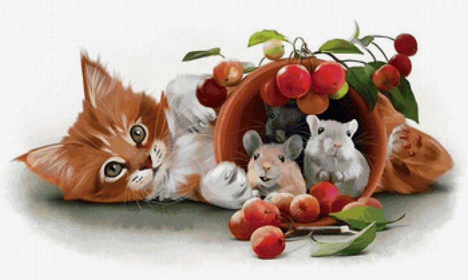 Котики фрукты