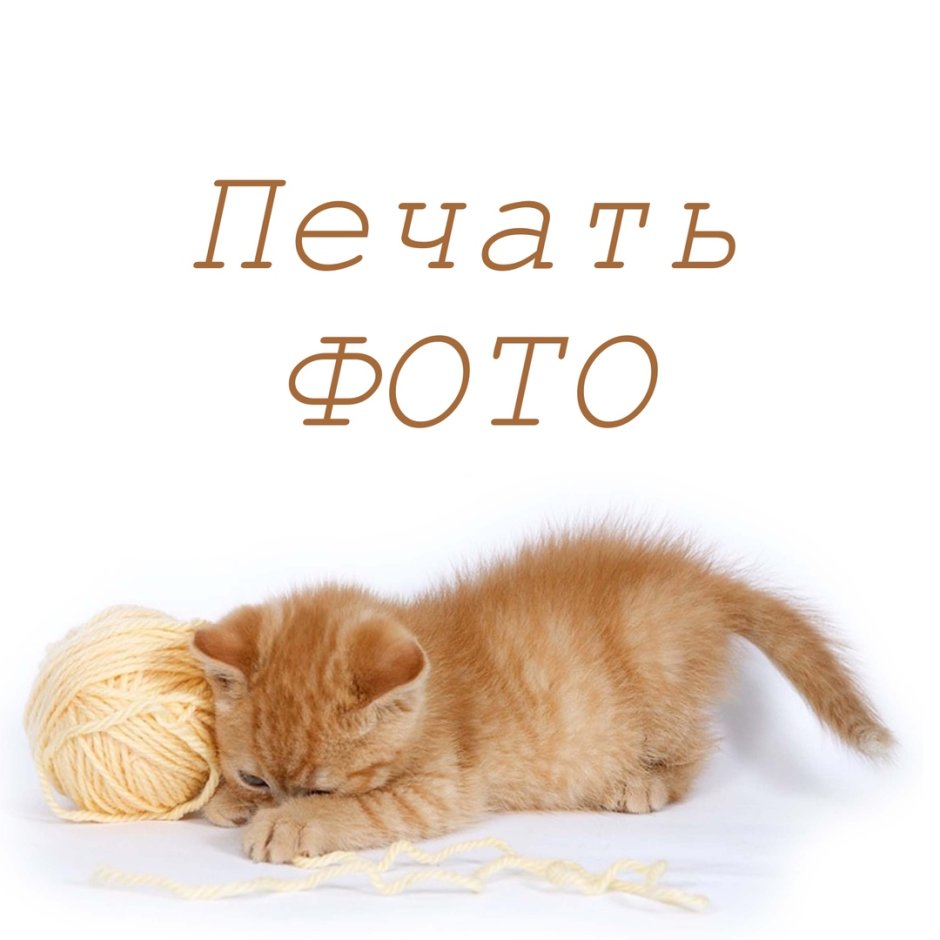 Котёнок и клубок