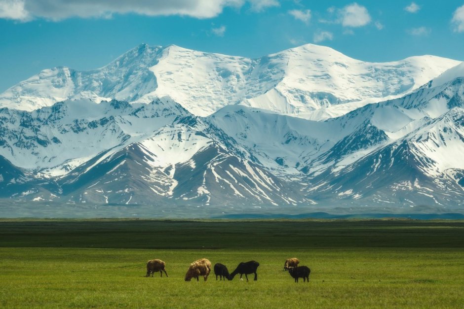 Кыргызстан горы джайлоо