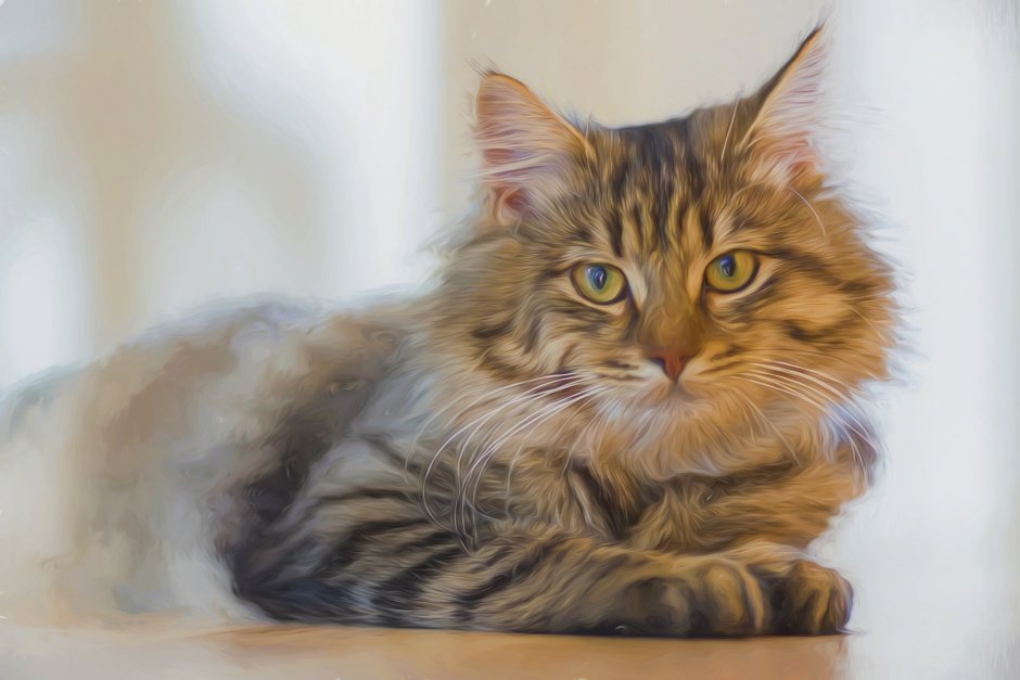 Сибирский кот полосатый