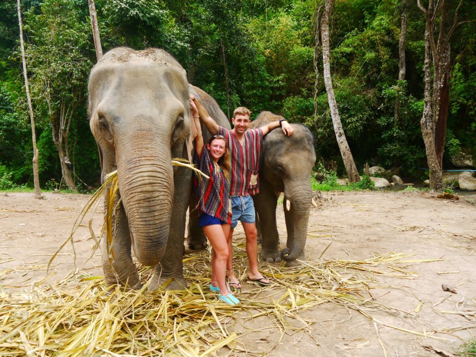Elephant Sanctuary Phuket
