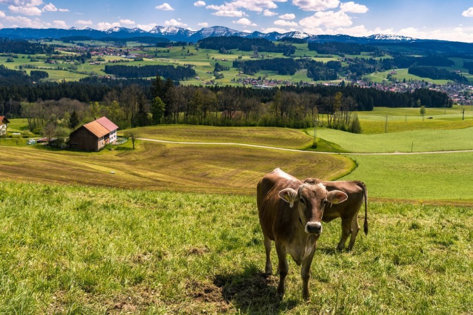 Альпийская ферма в Германии